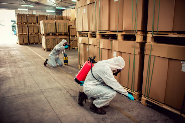Best Pest Control Treatment  in Worth, IL