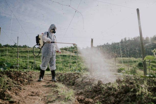 Best Pest Removal Services  in Worth, IL
