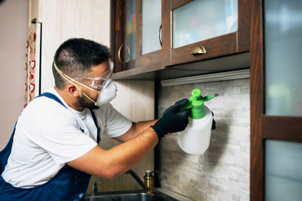 Best Commercial Pest Control Services  in Worth, IL