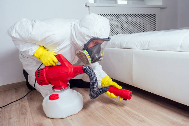 Best Termite Control Services  in Worth, IL
