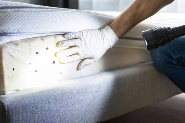 Best Emergency Pest Control  in Worth, IL