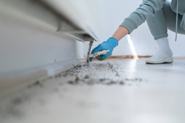 Best Affordable Pest Control Services  in Worth, IL