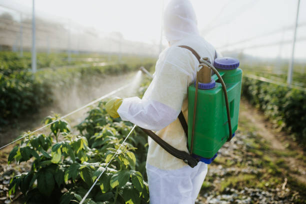 Best Cockroach Control Services  in Worth, IL